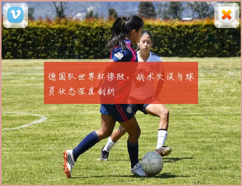 德国队世界杯惨败，战术失误与球员状态深度剖析