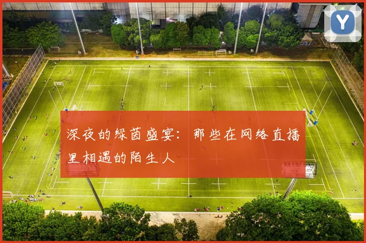 深夜的绿茵盛宴：那些在网络直播里相遇的陌生人