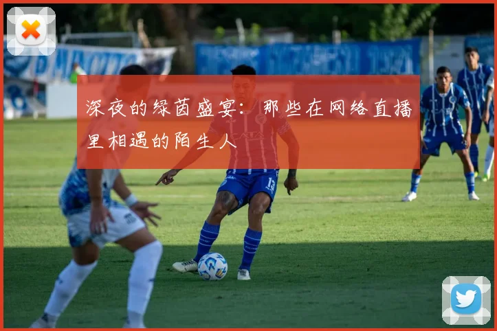 深夜的绿茵盛宴：那些在网络直播里相遇的陌生人