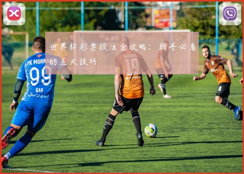 世界杯彩票投注全攻略:新手必看的五大技巧