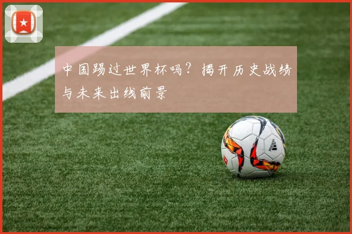 中国踢过世界杯吗？揭开历史战绩与未来出线前景